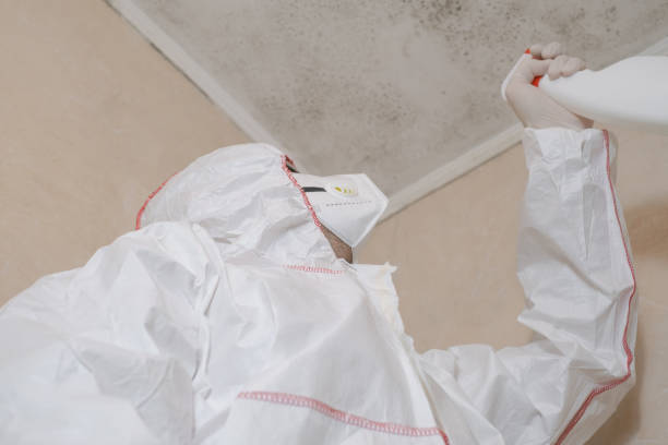 Best Mold Remediation for Schools in Towamensing Trails, PA