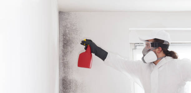 Best Mold Testing and Inspection Services in Towamensing Trails, PA
