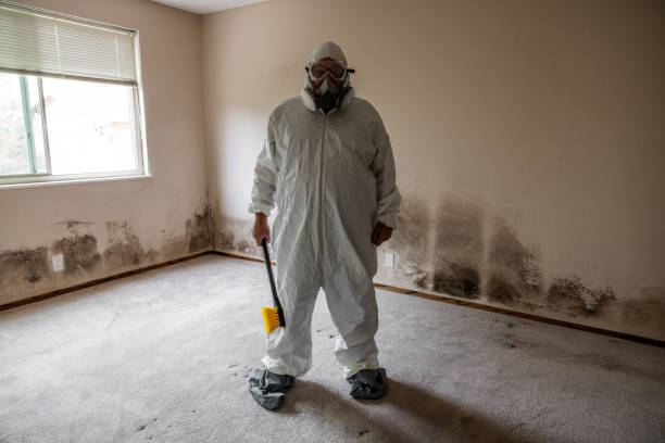Best Industrial Mold Remediation in Towamensing Trails, PA